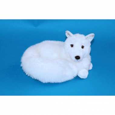 Poolvos knuffel 20 cm