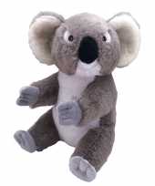 Pluche grijze koala beer beren knuffel 30 cm speelgoed