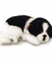 Pluche slapende border collie knuffel hond